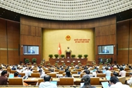 Legislators debate draft revised Law on Special Consumption Tax